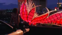Backdrop to the movie "Showgirls" #726760
