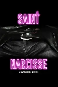 Poster to the movie "Saint-Narcisse" #1113870