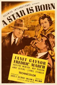 Poster to the movie "A Star Is Born" #993081