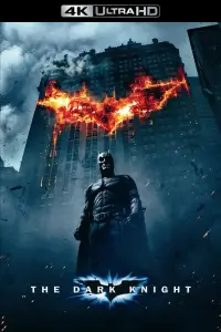 Poster to the movie "The Dark Knight" #900283