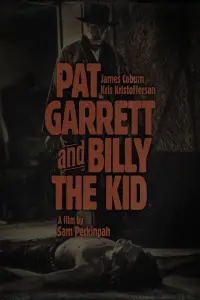 Poster to the movie "Pat Garrett & Billy the Kid" #983191