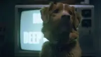 Backdrop to the movie "Good Boy" #828026