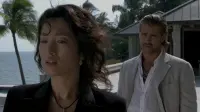Backdrop to the movie "Miami Vice" #544713