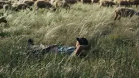 Backdrop to the movie "Shepherds" #705991