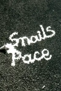 Poster to the movie "Snail