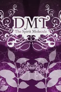 Poster to the movie "DMT: The Spirit Molecule" #1116142