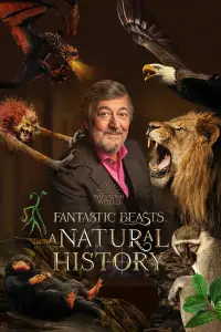 Poster to the movie "Fantastic Beasts: A Natural History" #974198