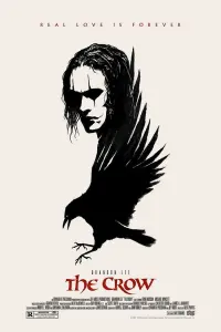Poster to the movie "The Crow" #778004