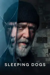 Poster to the movie "Sleeping Dogs" #947385