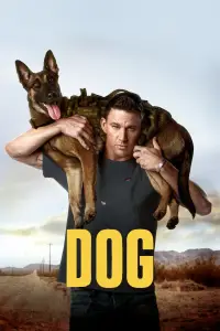 Poster to the movie "Dog" #956347