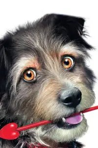 Poster to the movie "Gabe the Cupid Dog" #1111311