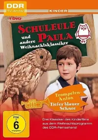 Poster to the movie "The Owl Paula" #850181