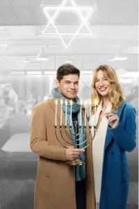 Poster to the movie "Hanukkah on Rye" #609784