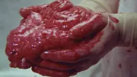 Backdrop to the movie "Brain of Blood" #860603