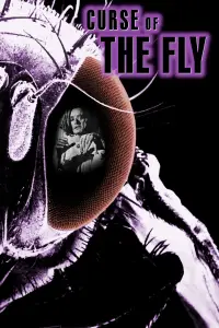 Poster to the movie "Curse of the Fly" #973228