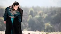 Backdrop to the movie "Peach Blossom Origin" #841875