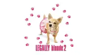 Backdrop to the movie "Legally Blonde 2: Red, White & Blonde" #934778