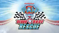 Backdrop to the movie "PAW Patrol: Ready, Race, Rescue!" #1141601