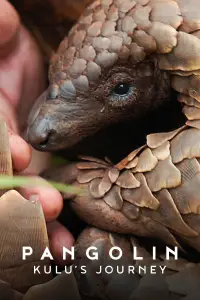 Poster to the movie "Pangolin: Kulu