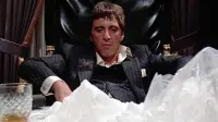 Backdrop to the movie "Scarface" #833102