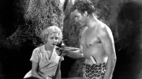 Backdrop to the movie "Tarzan the Fearless" #772654