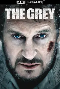 Poster to the movie "The Grey" #954296