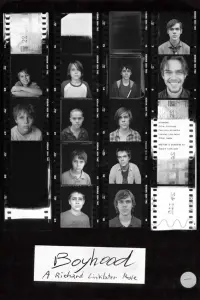 Poster to the movie "Boyhood" #714038