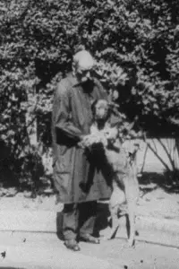 Poster to the movie "Experimental Treatment of a Hemorrhage in a Dog" #1197216