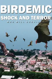 Poster to the movie "Birdemic: Shock and Terror" #996379
