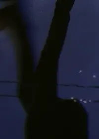 Poster to the movie "[W I N G S O F L O V E]" #453962