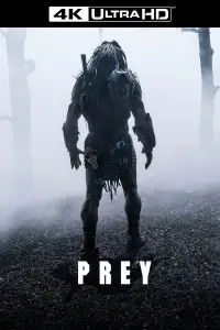 Poster to the movie "Prey" #924473