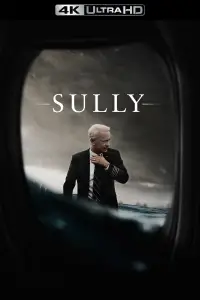 Poster to the movie "Sully" #960398