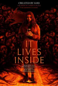 Poster to the movie "It Lives Inside" #960648