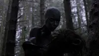 Backdrop to the movie "Under the Skin" #681147