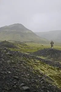 Poster to the movie "Babybird, Unborn" #506812