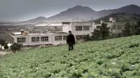 Backdrop to the movie "Memories of Murder" #802617