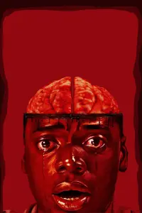 Poster to the movie "Get Out" #854127