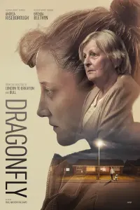 Poster to the movie "Dragonfly" #791495