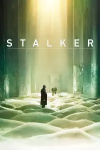 Poster to the movie "Stalker" #734122