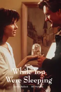 Poster to the movie "While You Were Sleeping" #1096734