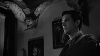 Backdrop to the movie "Psycho" #833452