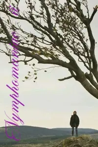 Poster to the movie "Nymphomaniac: Vol. II" #853383