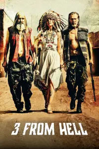 Poster to the movie "3 from Hell" #1029800