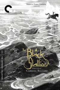 Poster to the movie "The Black Stallion" #988561