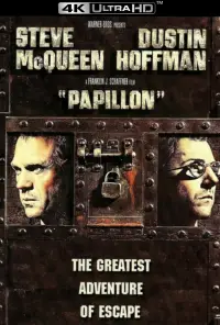 Poster to the movie "Papillon" #942360