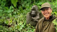 Backdrop to the movie "Saving the Gorillas: Ellen