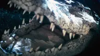 Backdrop to the movie "Crocodile" #824672