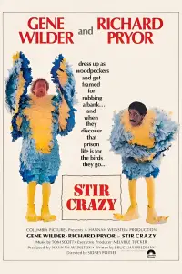Poster to the movie "Stir Crazy" #1029632