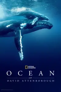 Poster to the movie "Ocean with David Attenborough" #990181