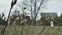 Backdrop to the movie "God Knows Where I Am" #716801